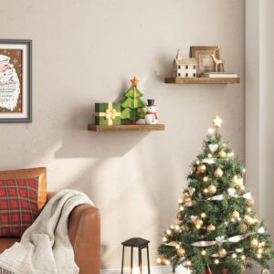 Rustic brown floating wall shelves displaying plants and decorative accessories in a modern living room.